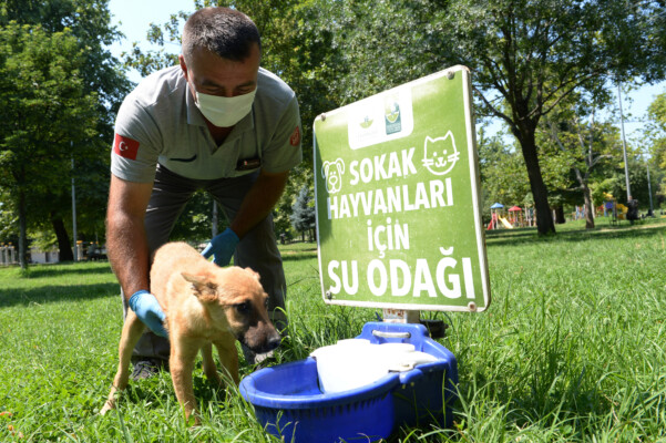 Osmangazi’de sahipsiz hayvanlara beslenme desteği