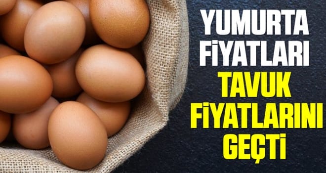 Yumurta fiyatı tavuk fiyatını geçti!