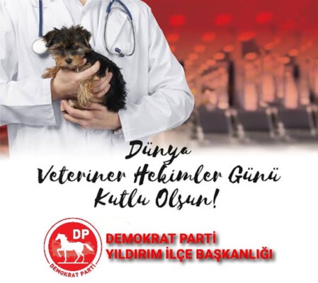 Veteriner Hekimlerimizin Hakkını Ödeyemeyiz…