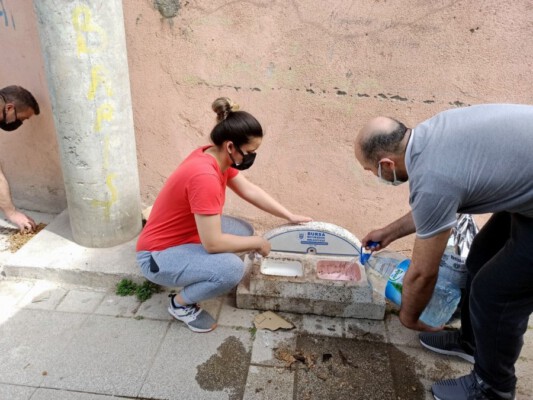 Mudanyalı gençler sokak hayvanlarını unutmadı