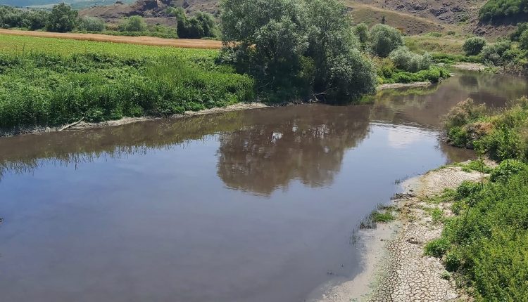 Sanayi atığı önce Nilüfer Çayı’nı sonra Marmara’yı öldürdü