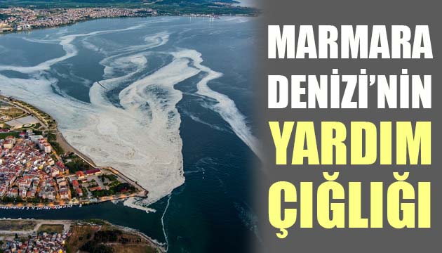 MARMARA DENİZİ’NİN SESSİZ ÇIĞLIĞI’NA AKADEMİK ODALARDAN PANEL İLE YANIT VERECEK