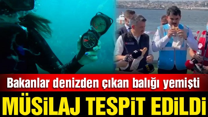 Bakanlar denizden çıkan balığı yemişti: 17 metrede müsilaj tespit edildi