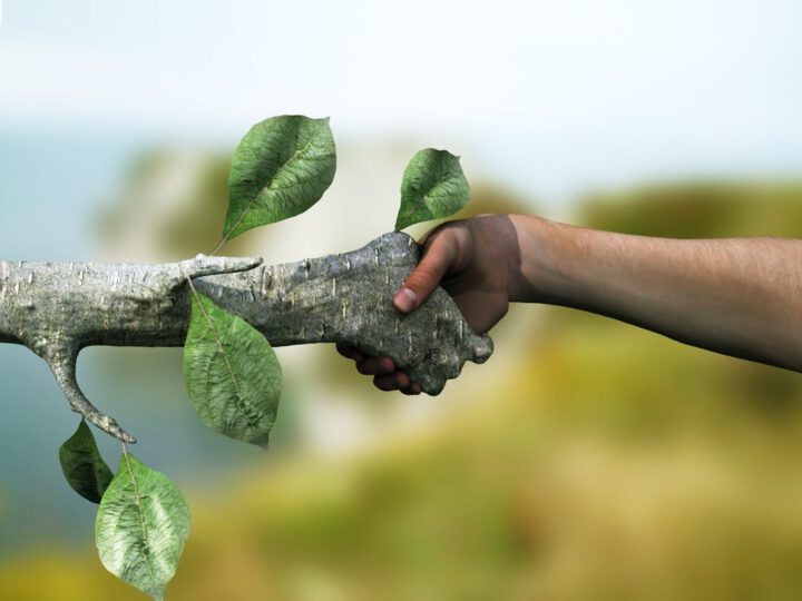 EGİAD Başkanı Avni Yelkenbiçer’den Yeşil Kuğu Vurgusu