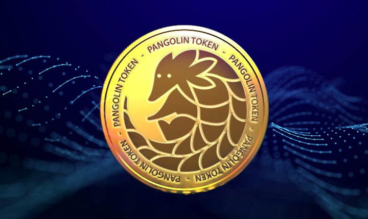 En büyük Token yakımını gerçekleştiren Pangolin (PNG) Türkiye’de listelendi!