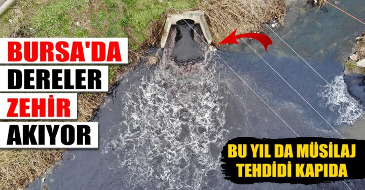 Bu yıl da müsilaj tehdidi kapıda