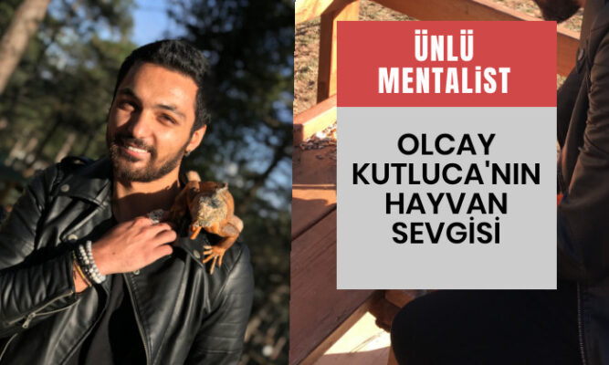 Olcay Kutluca Sokak Hayvanlarını Unutmadı