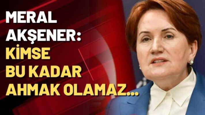 Akşener: Kimse bu kadar ahmak olamaz