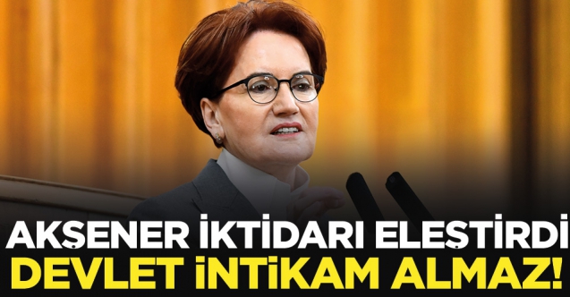 iktidarın devlet yönetimiyle ilgili sorunu olduğundan atladığı bir şey var, devlet intikam almaz