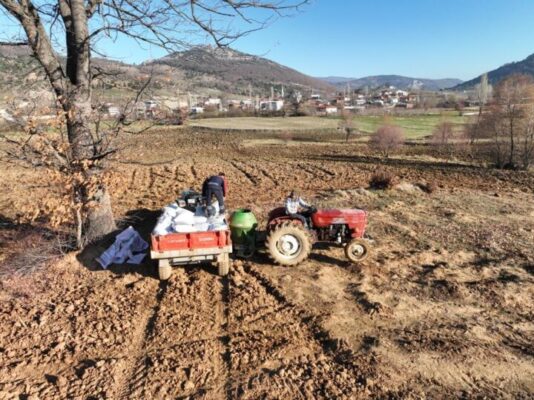 GÜRSU’NUN VERİMLİ OVASINDA İLK BUĞDAY EKİMİ