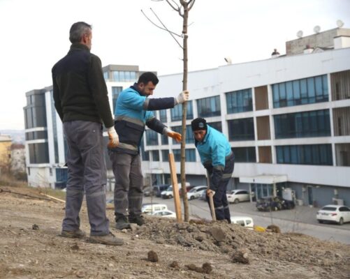 NİLÜFER’DE AĞAÇLANDIRMA ÇALIŞMALARI BAŞLADI