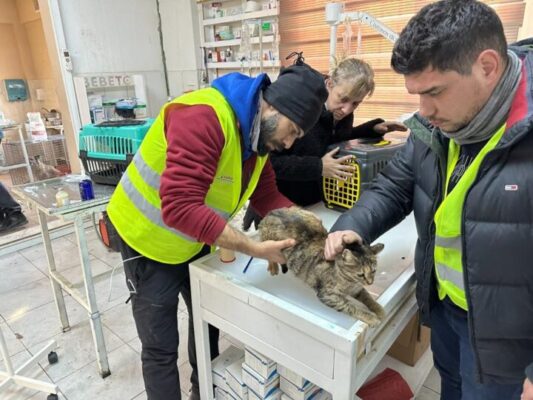 VETERİNER HEKİMLER DEPREM BÖLGESİNİ YALNIZ BIRAKMADI