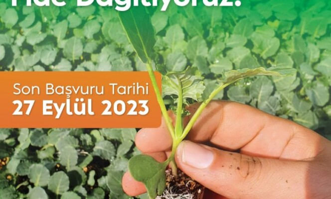 BELEDİYEDEN ÜRETİCİLERE FİDE DESTEĞİ FİDE DAĞITIMI İÇİN SON BAŞVURU “27 EYLÜL”