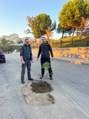 5 Aydır Asfaltlanmayan Yola Fidan Dikerek Protesto Etti…